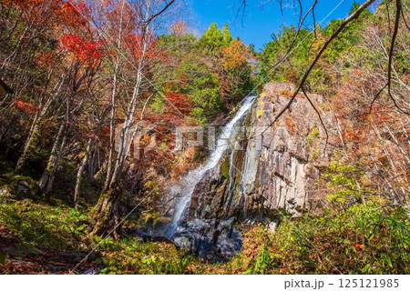 大倉滝・森林公園おおくら滝《岐阜県・高山市・清見町》 125121985