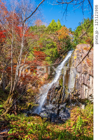 大倉滝・森林公園おおくら滝《岐阜県・高山市・清見町》 125121986