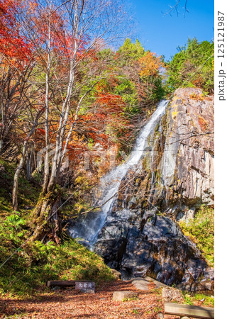 大倉滝・森林公園おおくら滝《岐阜県・高山市・清見町》 大倉滝・森林公園おおくら滝《岐阜県・高山市・清見町》 125121987