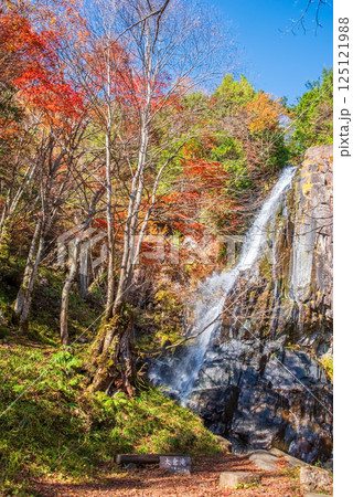 大倉滝・森林公園おおくら滝《岐阜県・高山市・清見町》 125121988