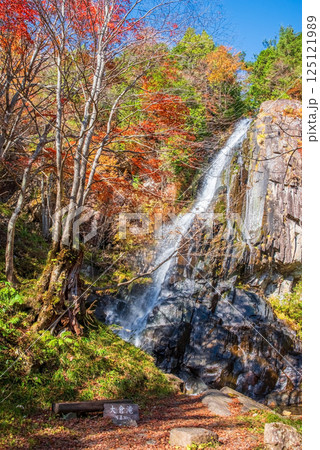 大倉滝・森林公園おおくら滝《岐阜県・高山市・清見町》 大倉滝・森林公園おおくら滝《岐阜県・高山市・清見町》 125121989