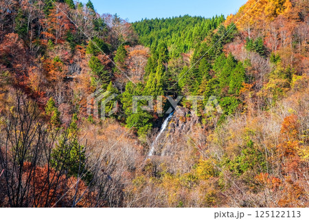 紅葉シーズンの「おおくら滝遊歩道」眺望コース・滝見展望台からの眺望 岐阜県・清見町 紅葉シーズンの「おおくら滝遊歩道」眺望コース・滝見展望台からの眺望 岐阜県・清見町 125122113