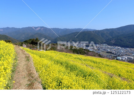 段々畑の菜の花と香北の町　早春　（高知県　香美市） 125122173