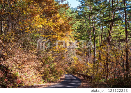 美しい紅葉の「おおくら滝遊歩道」眺望コース　岐阜県・清見町 125122238