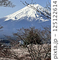 桜と富士山 125122614