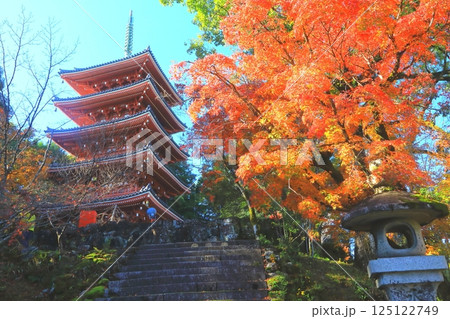 秋の竹林寺五重塔（四国霊場第31番札所・高知市） 125122749
