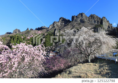 妙義山と桜 125122798