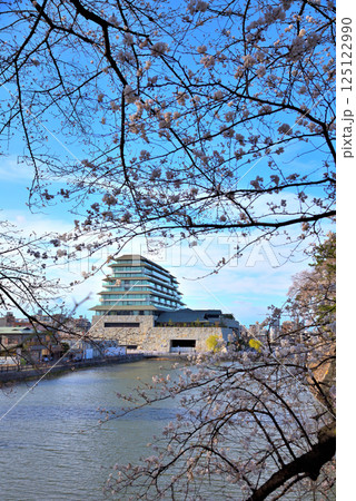 《愛知県》春の名古屋城のお堀に咲く満開の桜とエスパシオナゴヤキャッスルホテル 125122990