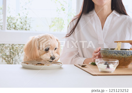 愛犬と一緒に食事を楽しむ女性 125123252