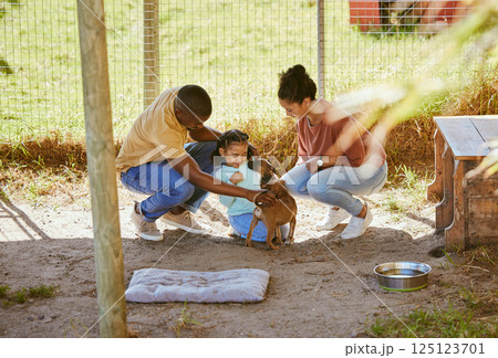 Black family, dog and animal shelter with a father, mother and child volunteer together to help with choice of puppy to love and care. Man, woman and girl with pet for adoption and charity outdoor 125123701