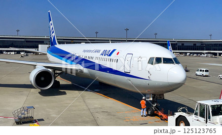 成田空港を発つ全日空B767機 125123765