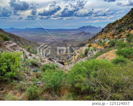 メキシコ・マピニ村　オエハラ鉱山 125124857