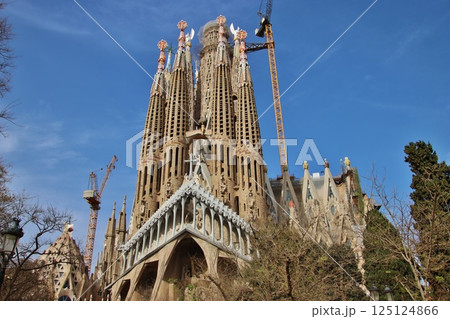 サグラダ・ファミリア（バルセロナ） 125124866