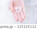 桜の花びらを持つ女性の手 125125112