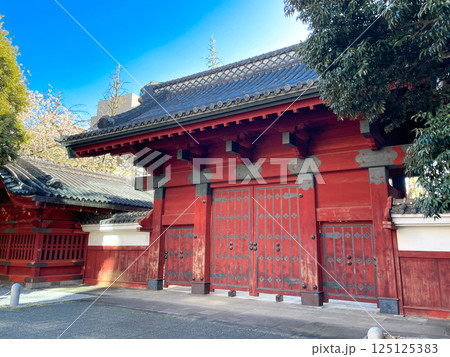 東京本郷・東大赤門 125125383