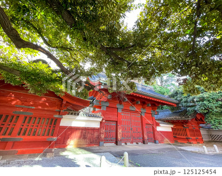 東京本郷・東大赤門 125125454
