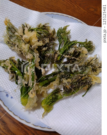 家庭的で素朴な自家製の天ぷら 春の香りタラの芽 家庭的で素朴な自家製の天ぷら 春の香りタラの芽 125125481