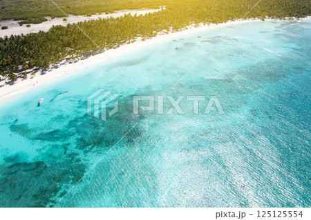 Aerial view from drone on tropical island with palm trees and boats shipping in caribbean sea Aerial view from drone on tropical island with palm trees and boats shipping in caribbean sea 125125554