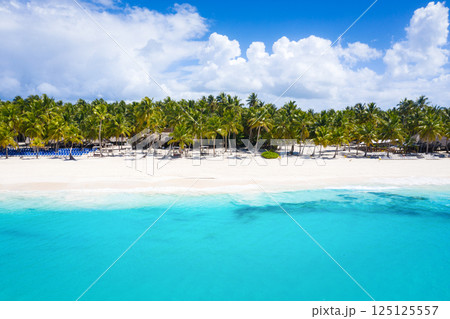 Aerial view on tropical island with palm trees and caribbean sea 125125557