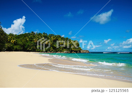 Beautiful beach with a blue caribbean sea and palm trees in the background. The coastline is empty and the water is calm. Playa Grande Beautiful beach with a blue caribbean sea and palm trees in the background. The coastline is empty and the water is calm. Playa Grande 125125565