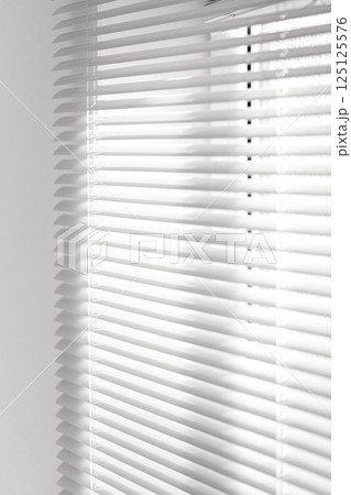 The window is covered with white blinds 125125576