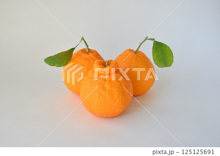 大分県産デコポン 125125691