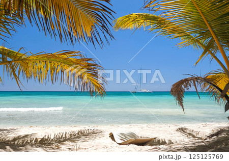 Beach scene with sunbed under coconut palm trees close to Caribbean sea coastline. Tropical paradise Beach scene with sunbed under coconut palm trees close to Caribbean sea coastline. Tropical paradise 125125769