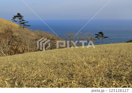 尻羽岬 尻羽岬 125126127