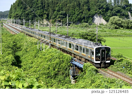 JR東日本 E131系電車 JR東日本 E131系電車 125126485