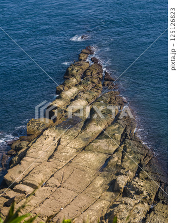 台湾・野柳地質公園の岩石海岸 / Yehliu Geopark, Taiwan 125126823