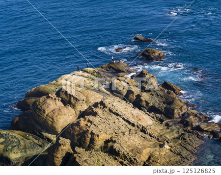 台湾・野柳地質公園の岩石海岸 / Yehliu Geopark, Taiwan 台湾・野柳地質公園の岩石海岸 / Yehliu Geopark, Taiwan 125126825