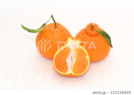 大分県産デコポン 125126839