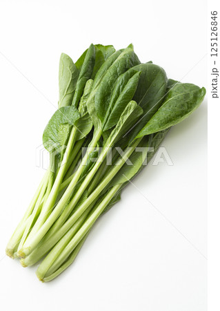 小松菜　白バック 125126846