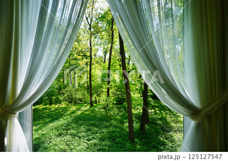 開けた窓から見える新緑の森 癒しイメージ 開けた窓から見える新緑の森 癒しイメージ 125127547
