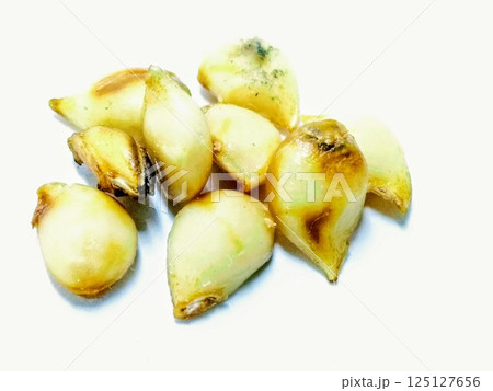A picture of pear seed's isolated on white background 125127656