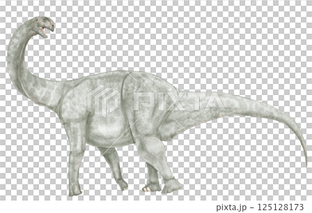 Brontomerus: A new species of herbivorous dinosaur with powerful legs that shows the diversity of sauropods 125128173