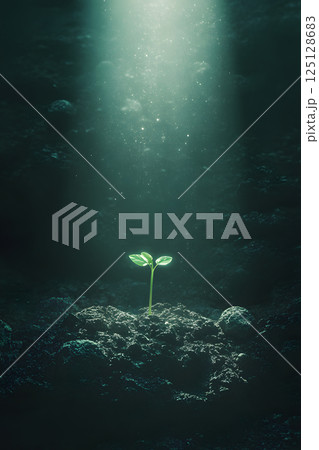 暗闇の中で若葉が光に照らされる神秘的な新芽の成長イメージ 125128683