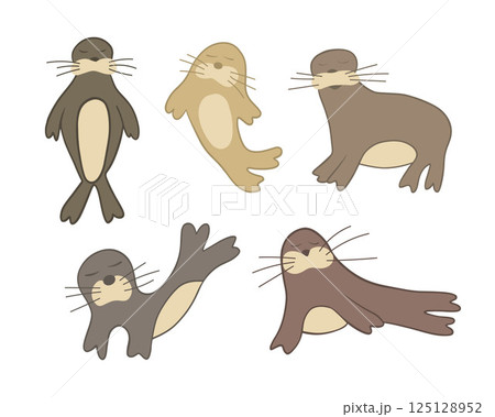 Vector isolated illustration of a set of fur seals on a white background. 125128952