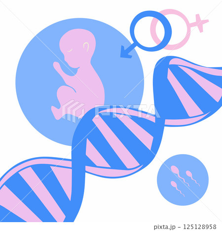Vector isolated illustration of genetic study of the embryo. Paternity test. Genetic biomaterial of parents. 125128958