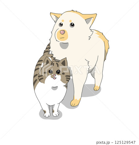 犬と猫 犬と猫 125129547