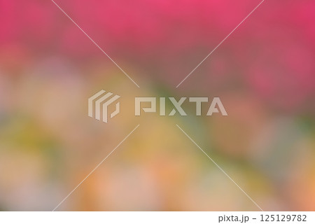 暖色系 　背景素材 125129782