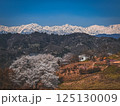 桜と北大雪の山並 125130009