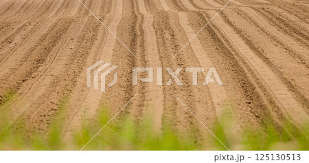 北海道の春に見られるトラクターで耕した畑の模様の風景 北海道の春に見られるトラクターで耕した畑の模様の風景 125130513