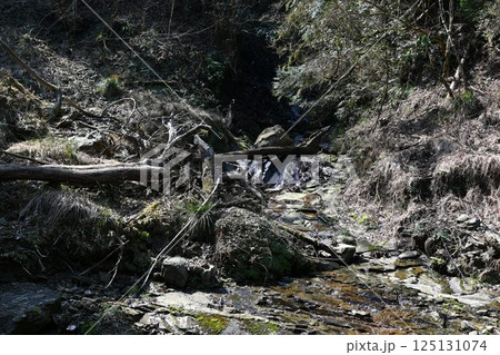 養老渓谷　粟又の滝 125131074