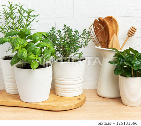 Fresh herbs growing in pots on kitchen countertop Fresh herbs growing in pots on kitchen countertop 125131666