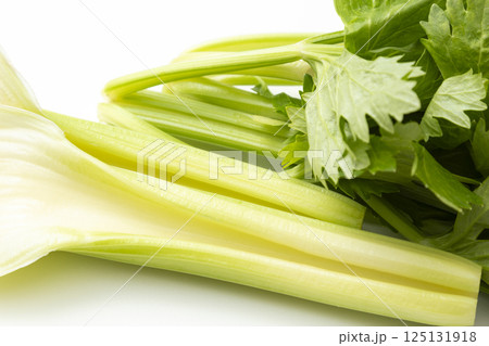 セロリの葉と茎 白バック セロリの葉と茎 白バック 125131918