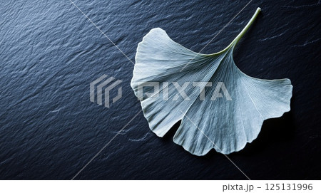 Serene Ginkgo Biloba Leaf on Dark Slate Background: A Study in Nature's Elegance 125131996