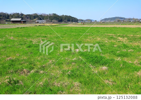 飛鳥宮跡から見た景色 125132088