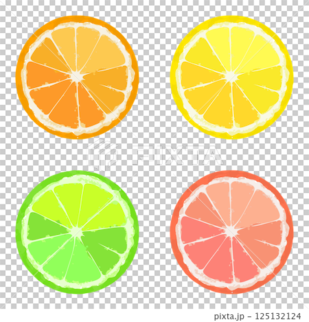 切好的柳橙、檸檬、酸橙和葡萄柚的插圖集 125132124