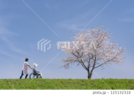 春の青空の下でさくらの花を見に散歩する車いすの二人 春の青空の下でさくらの花を見に散歩する車いすの二人 125132318